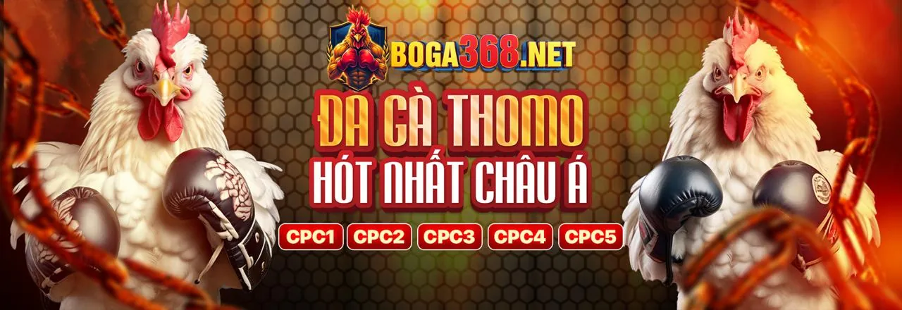Các chương trình khuyến mãi đá gà hấp dẫn