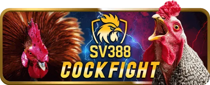Cá Cược Bóng Rổ HY88